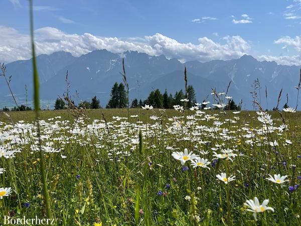 Ferienhaus Urlaub in Östereich