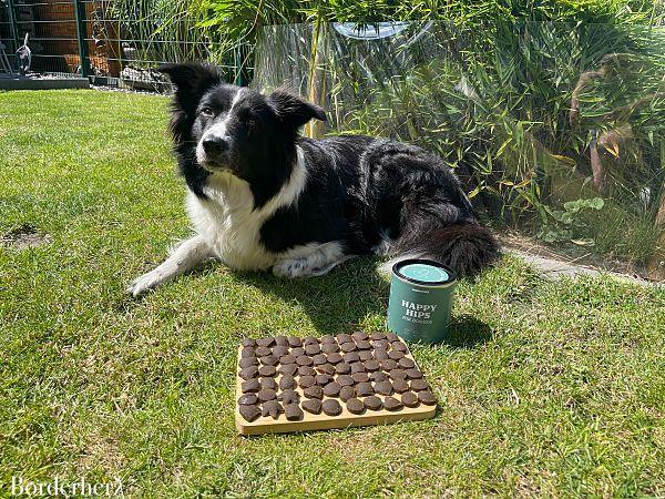 Hundesnacks gegen