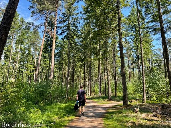 wandern mit kind und hund in der veluwe