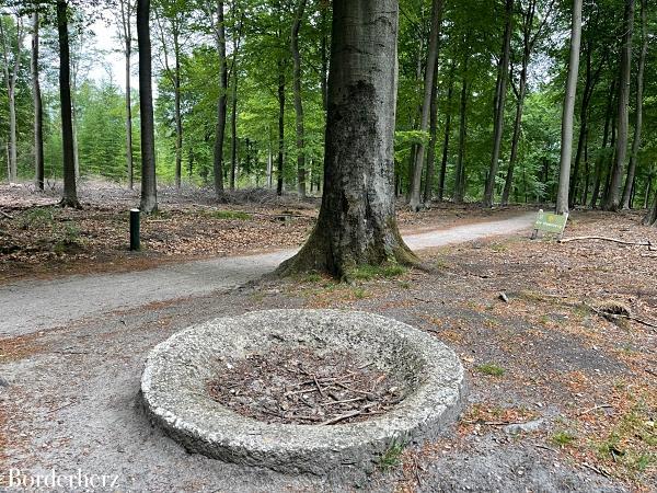 wandern mit kind und hund in der veluwe