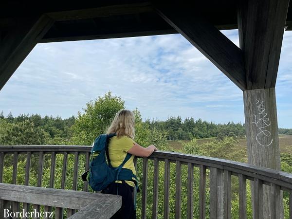 wandern mit kind und hund in der veluwe