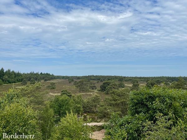 wandern mit kind und hund in der veluwe