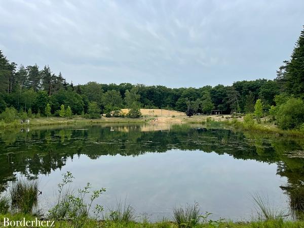 wandern mit kind und hund in der veluwe