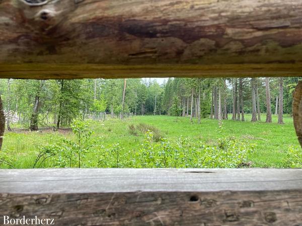 wandern mit kind und hund in der veluwe