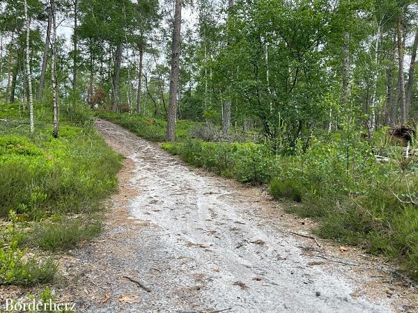 wandern mit kind und hund in der veluwe