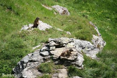 wandern in Osttirol mit Kindern