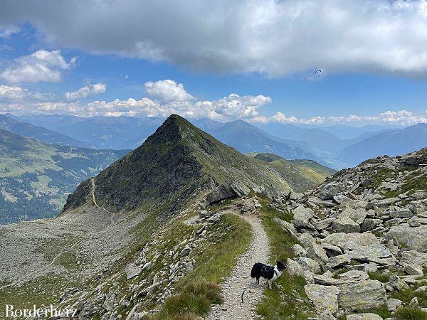 Bergwandern mit Hund