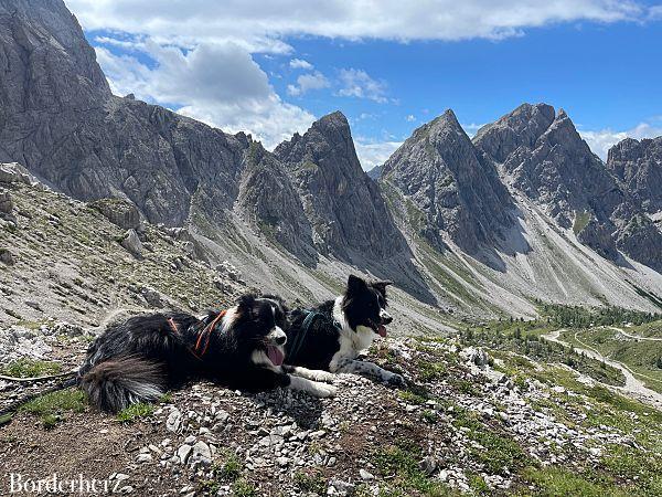 Bergwandern mit Hund