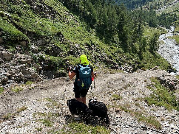 Bergwandern mit Hund