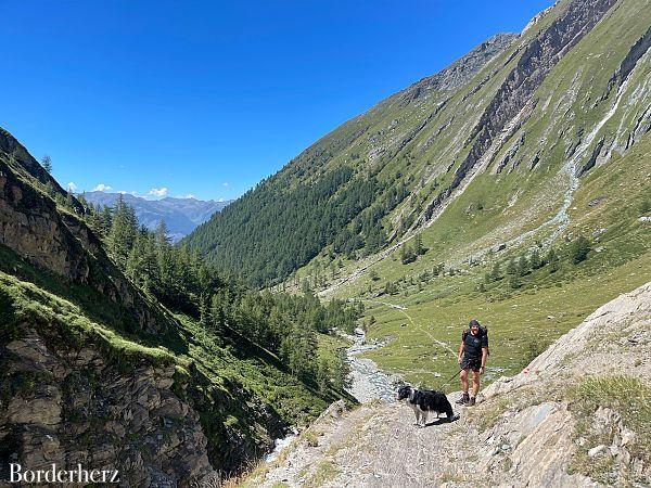 Bergwandern mit Hund