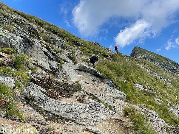 Bergwandern mit Hund