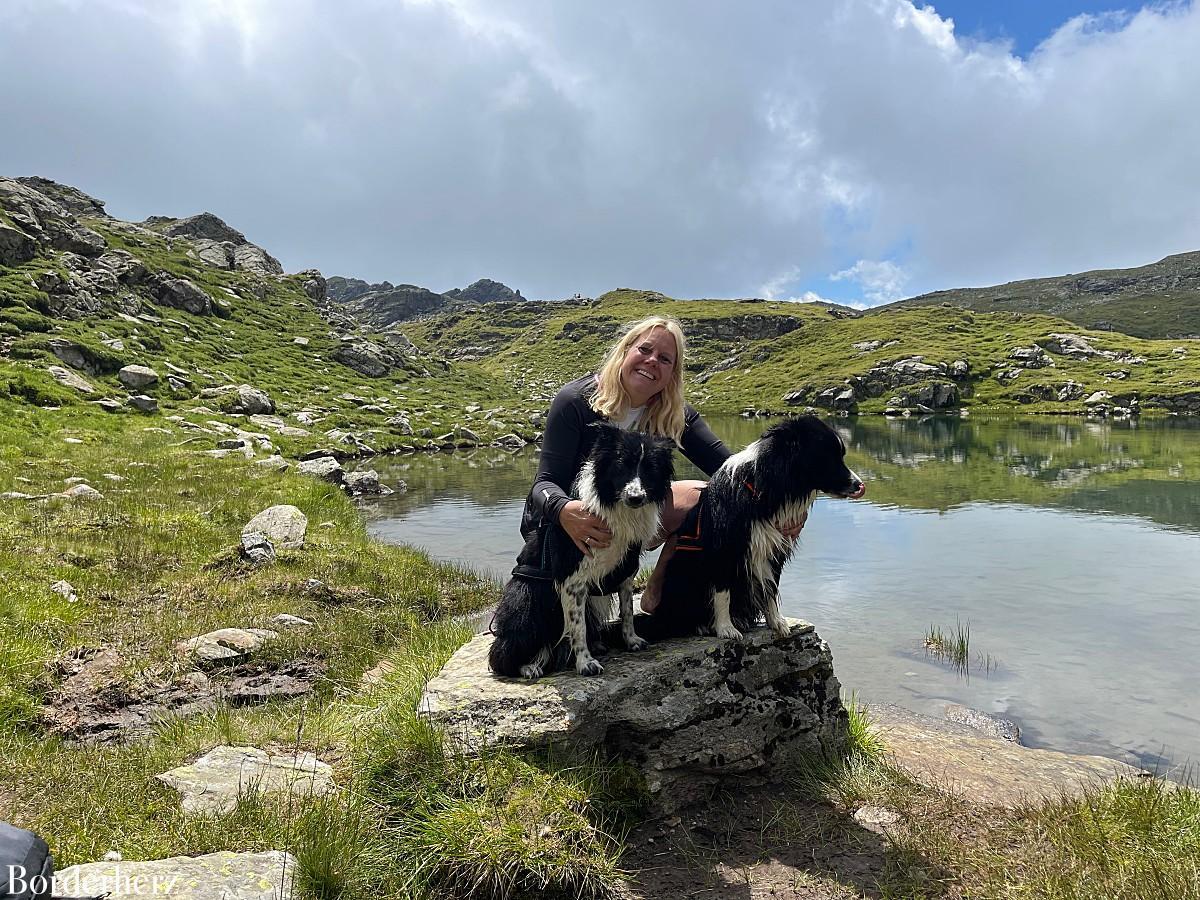 Bergwandern mit Hund