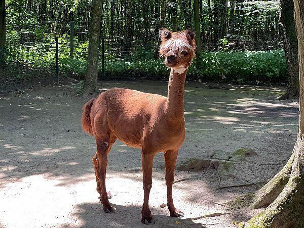 Ausflugsziele in Deutschland