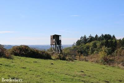 Bergschluchtenpfad Ehrenburg