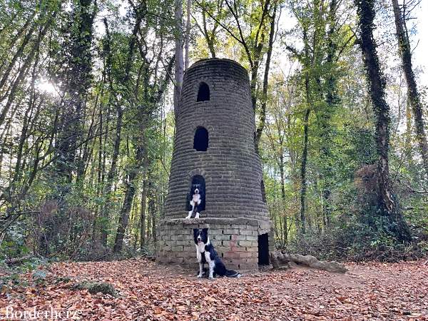 Dingdener Heide Märchenwald