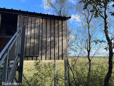 Dingdener Heide Märchenwald