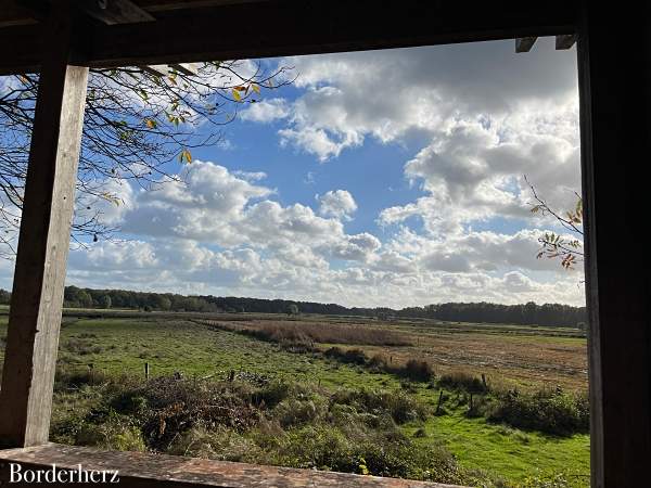 Dingdener Heide Märchenwald