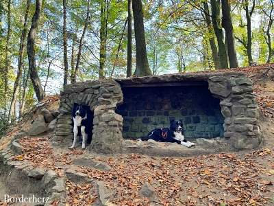 Dingdener Heide Märchenwald