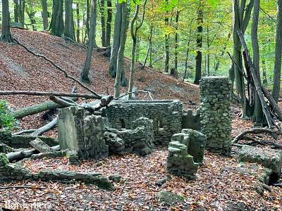 Dingdener Heide Märchenwald