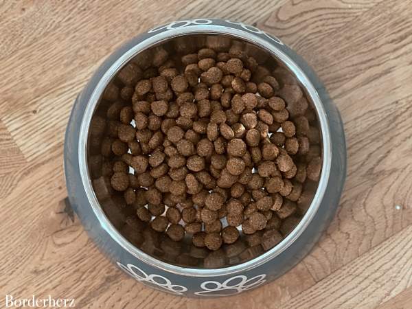 Hundefutter mit Insekten