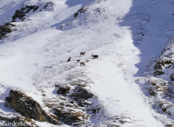 Winterwanderung zur Lucknerhütte