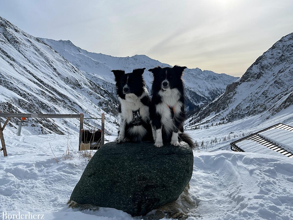 Winterwanderung zur Lucknerhütte