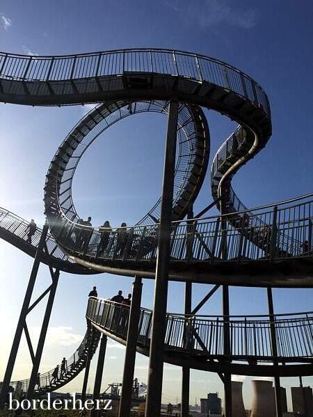 Tiger and Turtle Looping