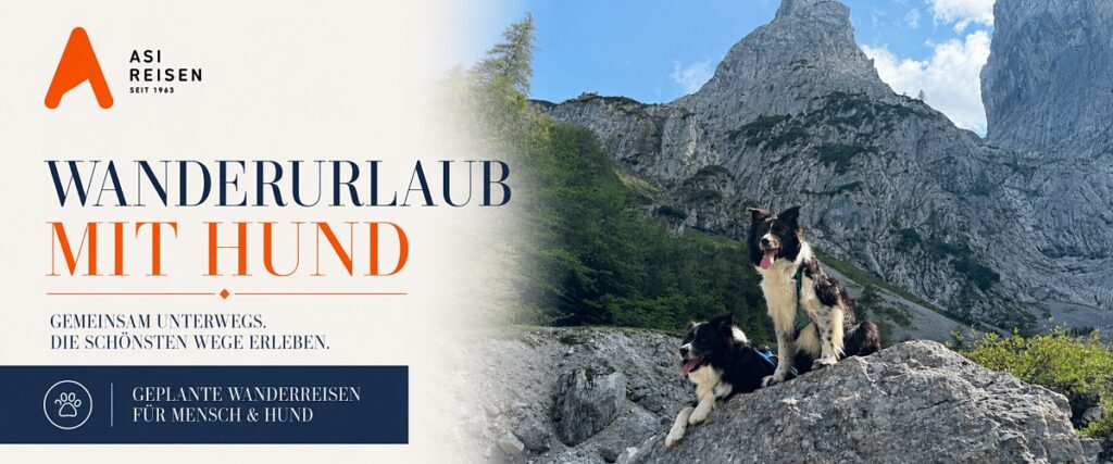 wanderurlaub mit hund asi reisen borderherz
