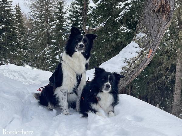 Hüttentour in Osttirol