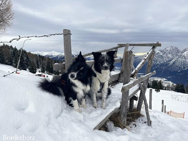 Hüttentour in Osttirol