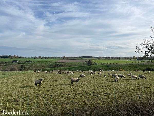 wandern in bad wünnenberg