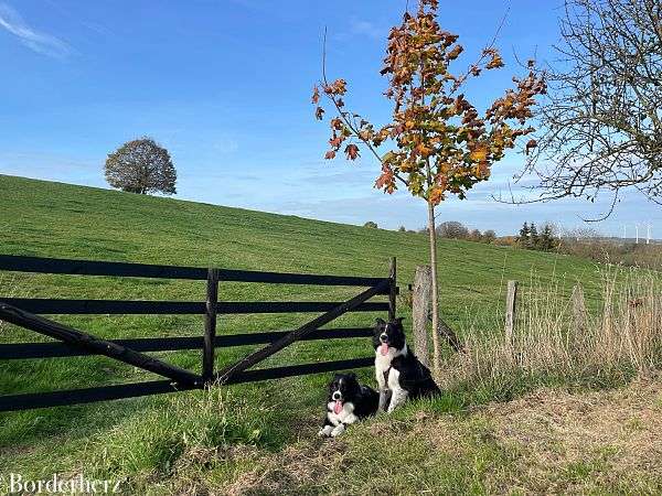 wandern in bad wünnenberg