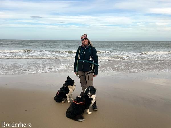 Zeeland mit Hund