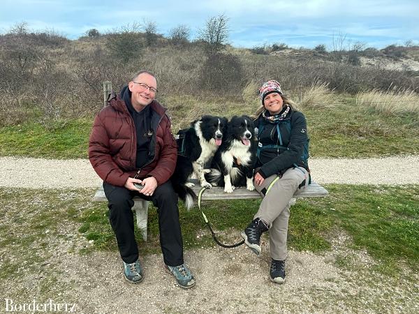 Zeeland mit Hund