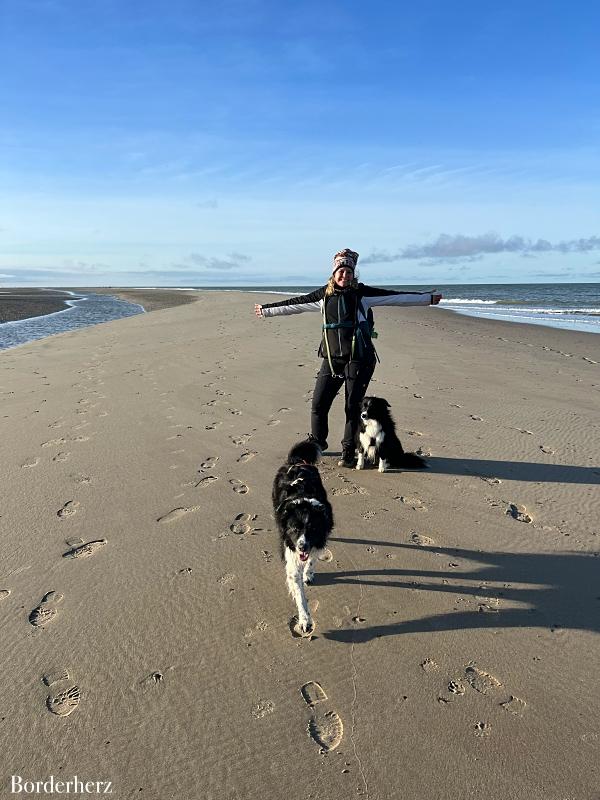 Zeeland mit Hund