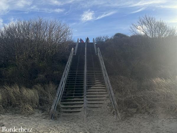 Zeeland mit Hund