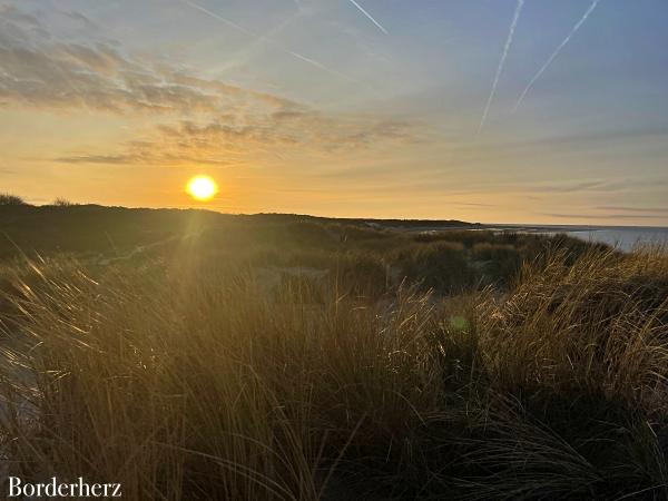 Zeeland mit Hund