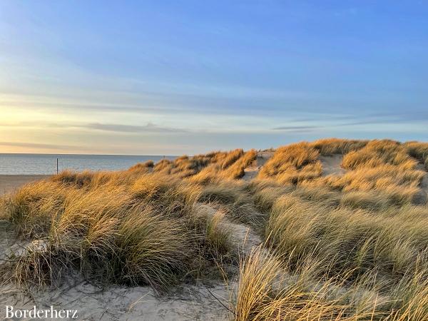 Zeeland mit Hund