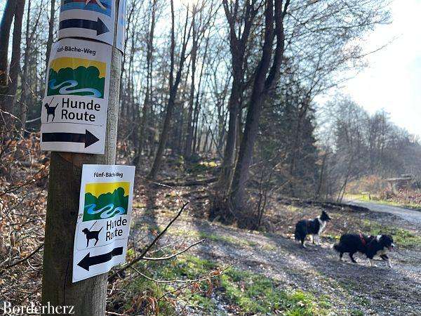 Fünf Bäche Weg Bad Wünnenberg