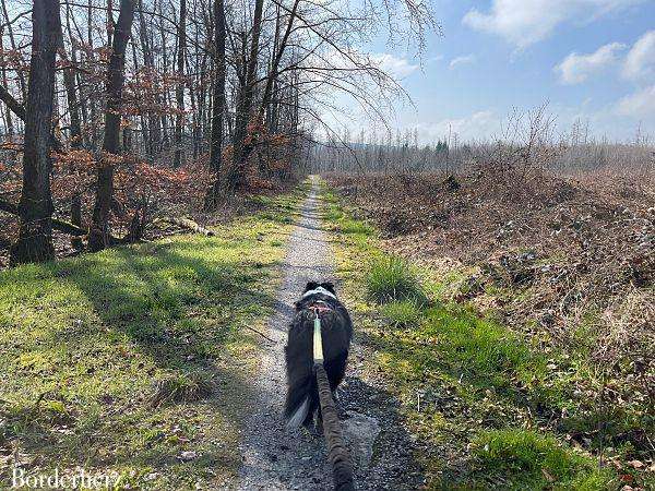 Fünf Bäche Weg Bad Wünnenberg