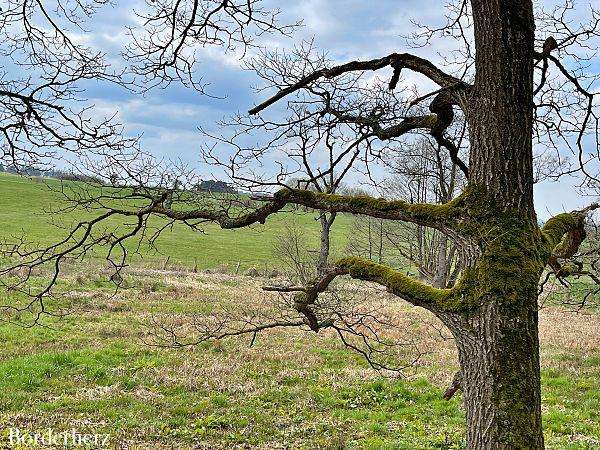 Fünf Bäche Weg Bad Wünnenberg