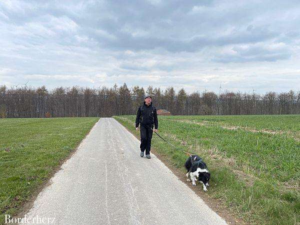 Fünf Bäche Weg Bad Wünnenberg