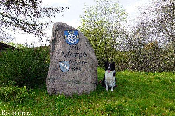 Achtsamkeitswanderung mit Hund