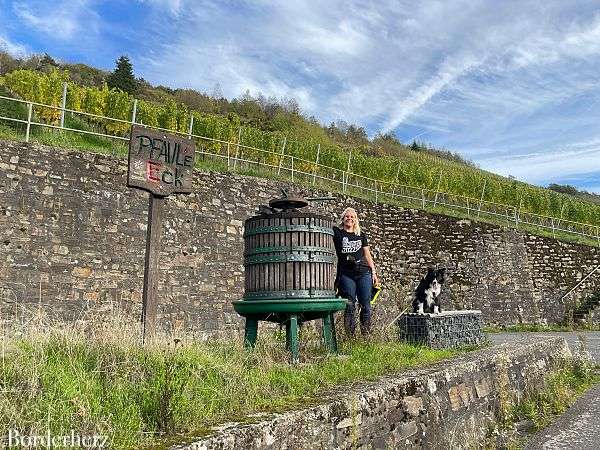 Wanderweg der Lieder Enkirch Mosel