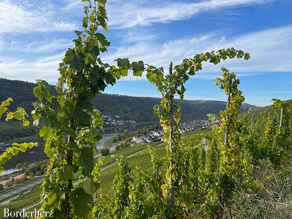 Wanderweg der Lieder Enkirch Mosel