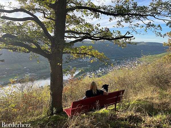 Wanderweg der Lieder Enkirch Mosel