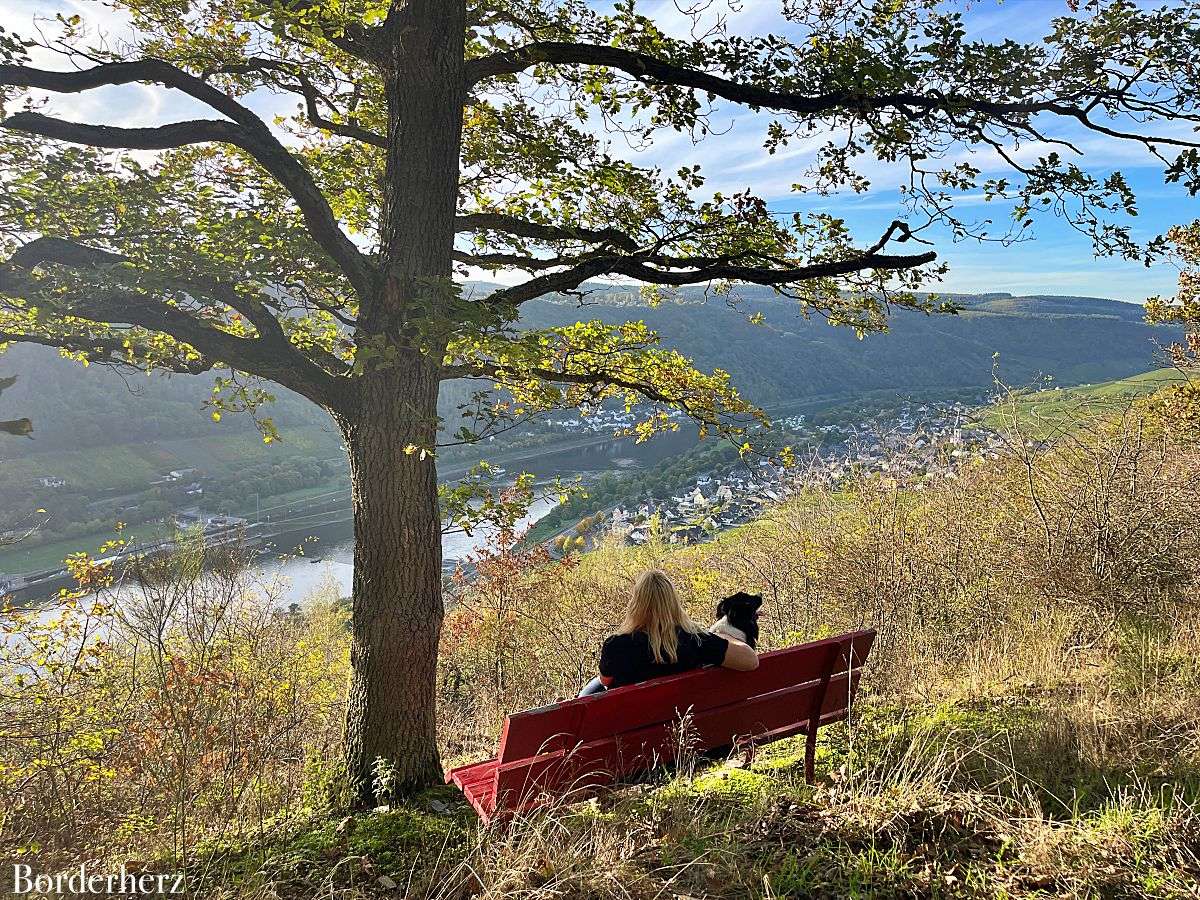 Wanderweg der Lieder Enkirch Mosel