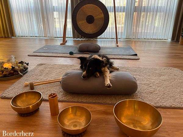 Yoga mit Hund