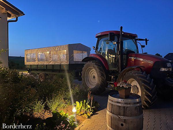 Planwagenfahrt Rheinhessen