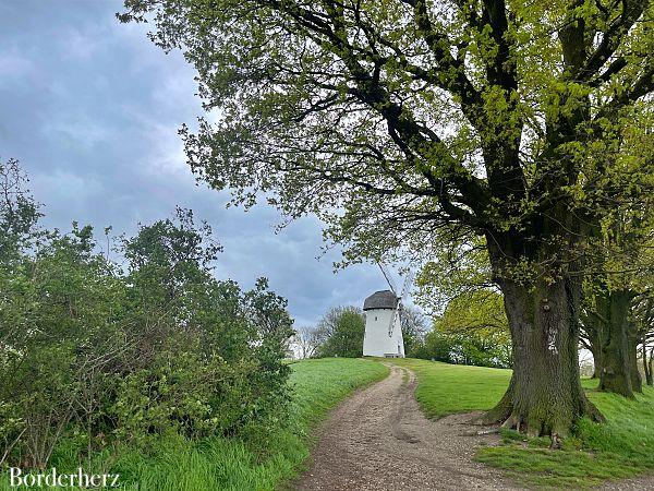 Naturzeit mit Kindern am Niederrhein